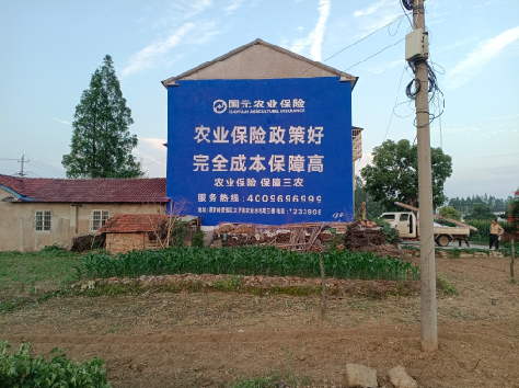 黄龙墙体广告为何受追捧？